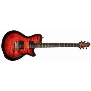 Godin LGX SA