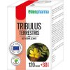 TRIBULUS TERRESTRIS EDENPharma 150tbl