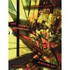 The Fourth Dimension and Non-Euclidean Geometry in Modern Art - Linda Dalrymple Henderson