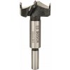 BOSCH Sukovník s tvrdokovem a předřezovými hroty 40 × 90 mm, d 10 mm 2.608.597.616 2.608.597.616 (2.608.597.616)