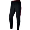 Nike B Dry Squad Pant Junior 859297-020 football pants (76089) S (128-137cm)