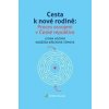 Cesta k nové rodině - Leona Hozová, Naděžda Křečková Tůmová