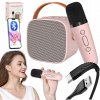 BEZDRÔTOVÝ PRENOSNÝ KARAOKE SET S MIKROFÓNOM A REPRODUKTOROM NA PÁRTY, OHNISKO