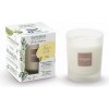 Esteban Paris Parfums NATURE – SUMMER JASMINE VONNÁ SVIEČKA 180 g