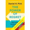 Síla lítosti - Jak nás ohlížení zpět posunuje vpřed - Daniel H. Pink