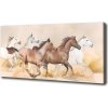 Foto obraz na plátne Kone v cvale 100x50 cm