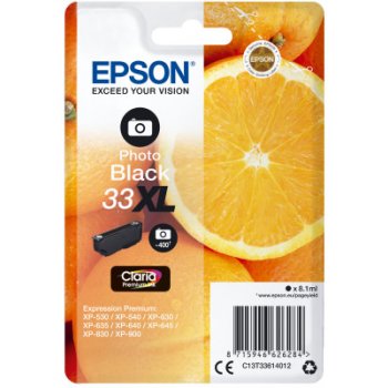 Epson 33XL Photo Black - originálny