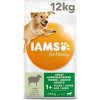 IAMS Dog Adult Large Chicken 12 kg