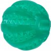 Dog Fantasy loptička Dental Mint zelená 6 cm