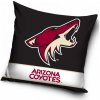 Vankúš - NHL Arizona Coyotes 40 x 40cm
