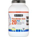 Survival Palatinose Gain 20 Fair Power 4500 g