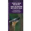 Costa Rica Wildlife / Vida Silvestre de Costa Rica: A Folding Pocket Guide to Familiar Animals / Una Guía Plegable Portátil de Animales Conocidas (Waterford Press,Raymond Leung)()