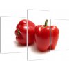 Paprika červená, obraz (Obraz 90x60cm)