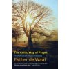 Celtic Way of Prayer (Esther De Waal)(Brožovaná)