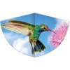 Günther drak Kolibri 75x48 cm (1178)
