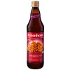 Rabenhorst čistá BIO šťava z rakytníka 750 ml Zelená Lekáreň