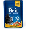 Brit Premium Cat Salmon & Trout 24 x 100 g