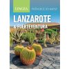 Lanzarote a Fuerteventura - Průvodce do kapsy - Lingea