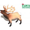 Atlas C Jelen 10 cm