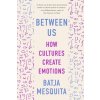 Between Us: How Cultures Create Emotions (Mesquita Batja)