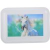 Karton P+P Horse/Kůň