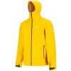 Salewa Puez Aqua 4 PTX 2 5L M jacket gold