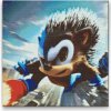 Vymalujsisam.sk Diamantovanie podľa čísiel - Ježko sonic Veľkosť: 50x50cm, Rám: Na plastovej doske, Diamanty: Okrúhle