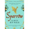 Sparrow (James Hynes)(Brožovaná)