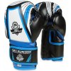 Boxerské rukavice DBX BUSHIDO ARB407v1 6 oz.