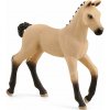 SCHLEICH Horse Club® 13929 Hříbě Hannoverského koně