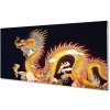 Sklenený obraz Golden Japanese Dragon 100x50 cm