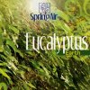SPRING AIR Náplň do osviežovača - Eucalyptus MP_DEO2503_80