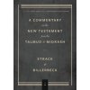 Commentary on the New Testament from the Talmud and Midrash: Volume 1, Matthew
