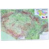 Karton P+P Podložka na stôl 60x40 cm Slovenská republika