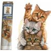 Norimpex diamantové maľovanie Mačacia pyramída 30 x 40 cm