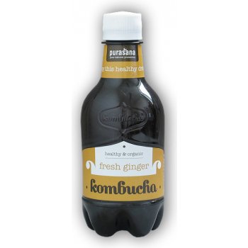 Allexx Kombucha klasik BIO 330 ml od 2,74 € - Heureka.sk