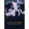Roland in Moonlight (David Bentley Hart)(Pevná)