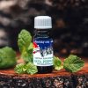 BUGALA Vonný olej Mäta pieporná 10ml