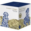 Incapet Collagen prášok vo vrecúškach 30 x 3 g