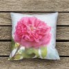 Obliečka na vankúš RUŽA STOLISTÁ 40 x 40 cm