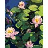Zuty – Maľovanie Podľa Čísel – Lekná v Záhradnom Jazere, 40 × 50 cm, Plátno + Rám 8596530107217