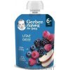 Gerber Natural Kapsička Lesné ovocie ovocná desiata (od ukonč. 6. mesiaca) 90 g