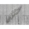 Komar Vliesová fototapeta Concrete Feather 350 x 250 cm