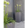 Prosperplast Kvetináče ORO DHOS300 29cm tmavo šedá