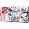 Foto obraz na plátne Farebná zebra 100x50 cm