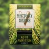 Victory Seeds - Auto Amnesium 5 ks - Semená neobsahujú THC