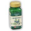 VitaHarmony Čučoriedkový extrakt 40 mg 90 kapsúl