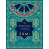 The Spiritual Poems of Rumi