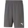 Pánske krátke nohavice TeamRise Short M 704942 13 - Puma L
