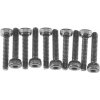 Axial skrutka imbus M2x10 mm CH 10
